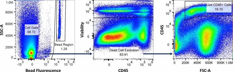 Fig. 4: Gating strategy to measure the volume of sample aspirated, absolute counts of total live cells, and live CD45+ cells, using the Labcorp absolute counting flow panel.