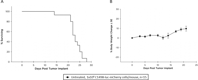 Fig. 2: Survival kinetics (A) and body weight change (B) of C57BL/6 mice with disseminated C1498-luc-mCherry AML.