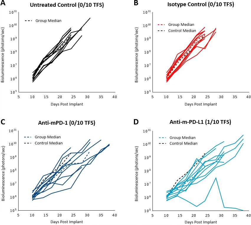 Fig. 3: C1498-Luc-mCherry response to checkpoint inhibitors in C57BL/6 mice. A, B, C and D: Bioluminescence signal from each individual mouse over time. Dotted black line indicates median signal of untreated control. Colored dotted lines indicate median signal of each group.