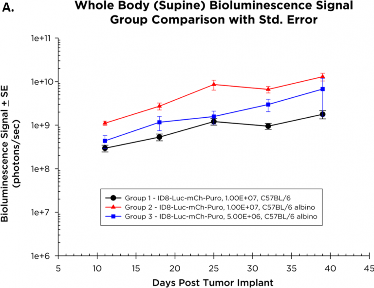 Fig. 1A: Intraperitoneal growth of ID8-luc-mCh-puro ovarian cancer monitored by whole body BLI.