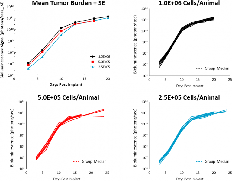 Fig. 1: Growth kinetics for NALM6-Luc-mCh-Puro in NSG mice.