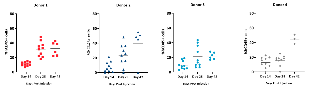 Figure 5 – Extent of engraftment of hCD45+ cells detected in whole blood from NSG mice administered hPBMCs