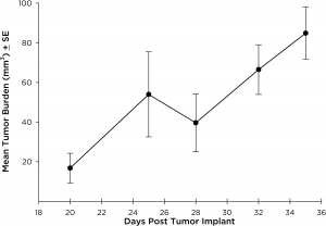 Fig. 3: % Body Weight Change Following Intracranial Implant of NCI-H3122Fig. 2:Intracranial NCI-H3122 Mean Tumor Growth By MRI