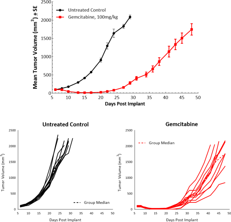 Fig. 3: Pan02 response to Gemcitabine.