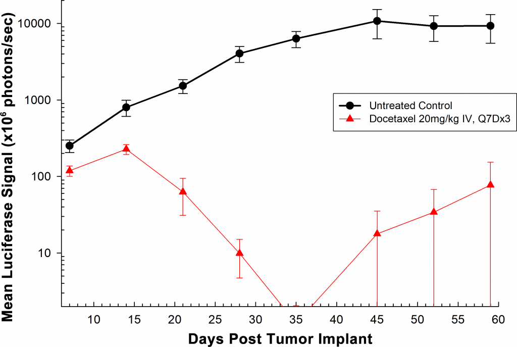 Fig. 2: Orthotopic PC-3M-Luc-C6 Human Prostate Carcinoma – Mean Total Tumor Burden BLI Signal