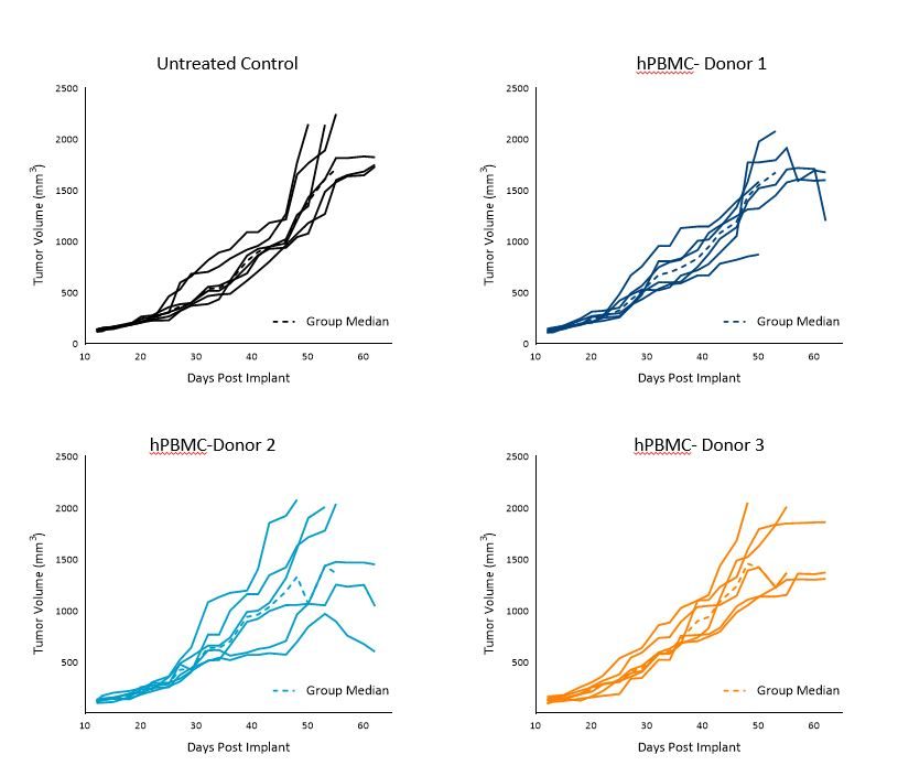 Figure 2. Control growth of subcutaneous A549 tumors following hPBMC administration