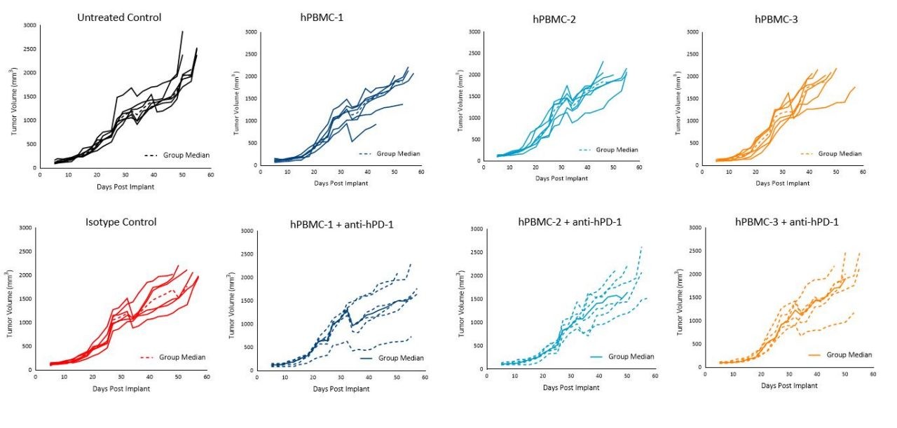 Figure 5. Tumor growth of MiaPaCa-2 subcutaneous tumors following hPBMC administration and treatment with isotype control or pembrolizumab (anti-hPD-1)