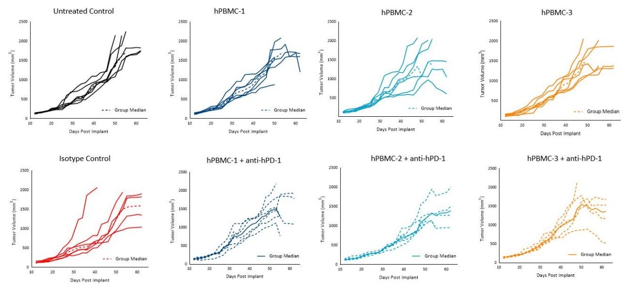 Figure 6. Tumor growth of A549 subcutaneous tumors following hPBMC administration and treatment with isotype control or pembrolizumab (anti-hPD-1)